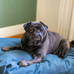 Design ohne Titel (12)