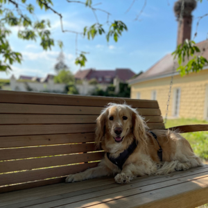 Design ohne Titel (14)