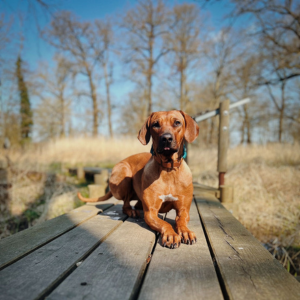 Design ohne Titel (15)