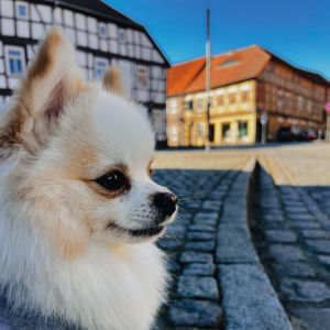 Design ohne Titel (16)